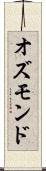 オズモンド Scroll
