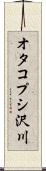 オタコプシ沢川 Scroll