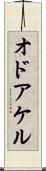 オドアケル Scroll