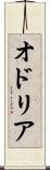 オドリア Scroll