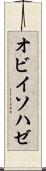 オビイソハゼ Scroll