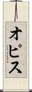 オピス Scroll