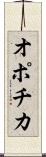 オポチカ Scroll