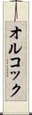 オルコック Scroll