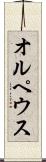 オルペウス Scroll