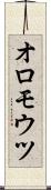 オロモウツ Scroll