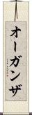 オーガンザ Scroll