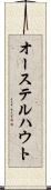 オーステルハウト Scroll