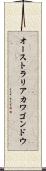 オーストラリアカワゴンドウ Scroll