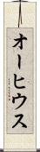 オーヒウス Scroll