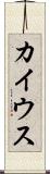 カイウス Scroll