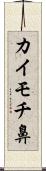 カイモチ鼻 Scroll