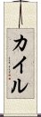 カイル Scroll