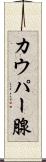 カウパー腺 Scroll