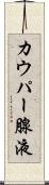 カウパー腺液 Scroll
