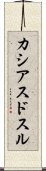 カシアスドスル Scroll