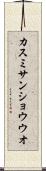 カスミサンショウウオ Scroll