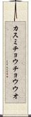 カスミチョウチョウウオ Scroll