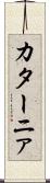 カターニァ Scroll