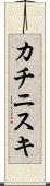 カチニスキ Scroll
