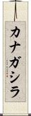 カナガシラ Scroll