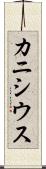 カニシウス Scroll