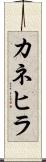 カネヒラ Scroll