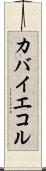 カバイエコル Scroll