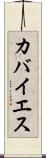 カバイエス Scroll