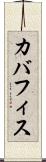 カバフィス Scroll