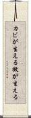 カビが生える Scroll
