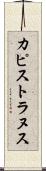 カピストラヌス Scroll