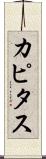 カピタス Scroll