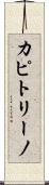 カピトリーノ Scroll
