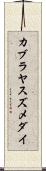 カブラヤスズメダイ Scroll