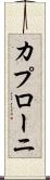 カプローニ Scroll