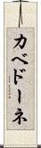 カベドーネ Scroll