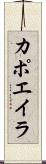 カポエイラ Scroll