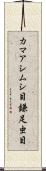 カマアシムシ目 Scroll