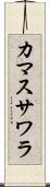 カマスサワラ Scroll