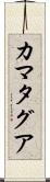 カマタグア Scroll