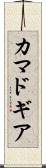 カマドギア Scroll