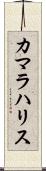 カマラハリス Scroll