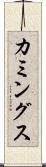 カミングス Scroll