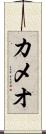 カメオ Scroll