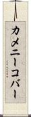 カメニーコバー Scroll
