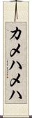 カメハメハ Scroll