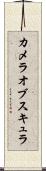 カメラオブスキュラ Scroll