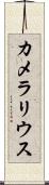 カメラリウス Scroll