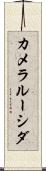 カメラルーシダ Scroll
